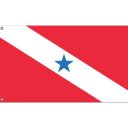 Candidate D
